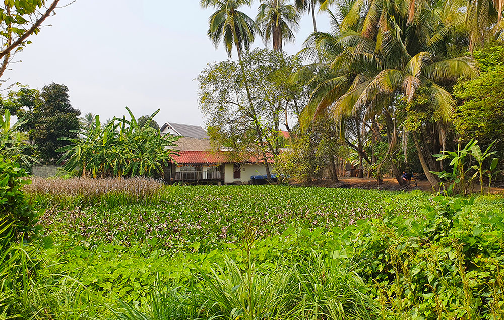 datharany-pic-1